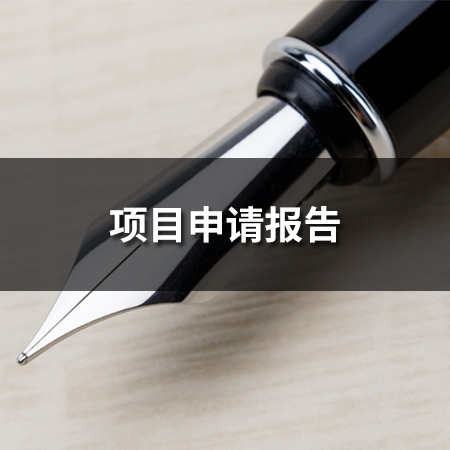 項(xiàng)目申請報告