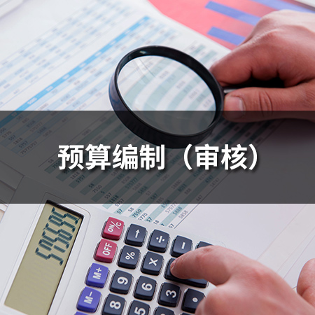 預算編制（審核）